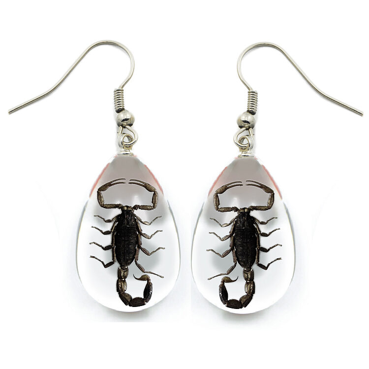 Black scorpion earrings