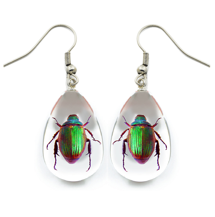 Beetle Earrings Beetle Jewelry 