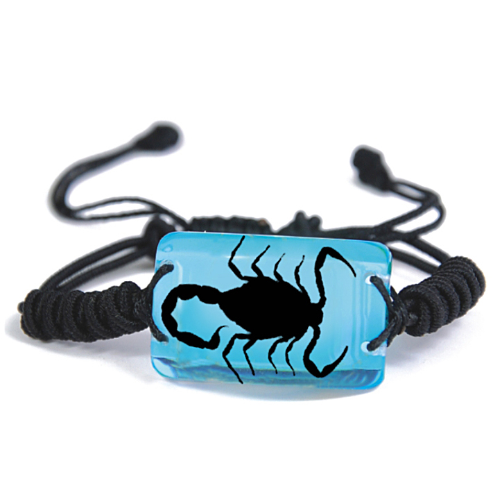 blue black scorpion bracelet