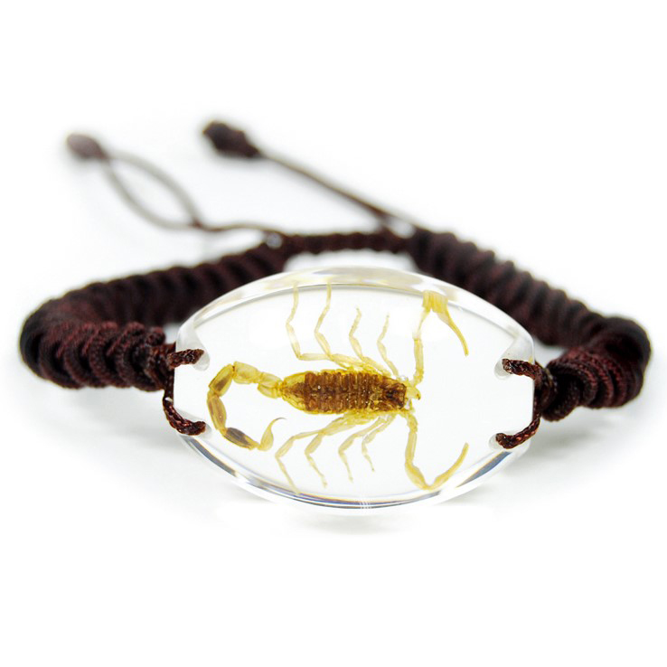 gold scorpion bracelet