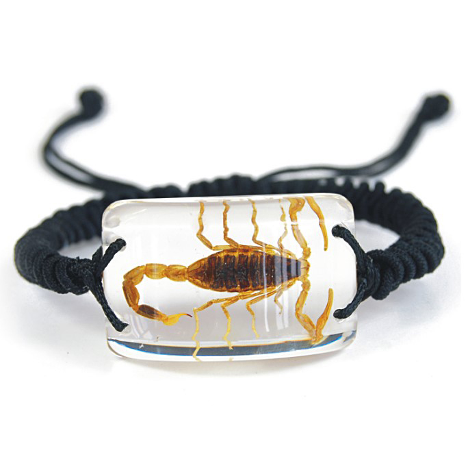 gold scorpion bracelet2