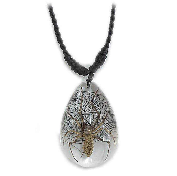 spider with web necklace
