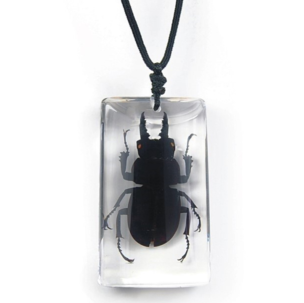 black stag beetle necklace