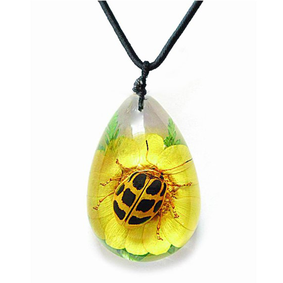 spotted leaf beetle on preserved flower necklace