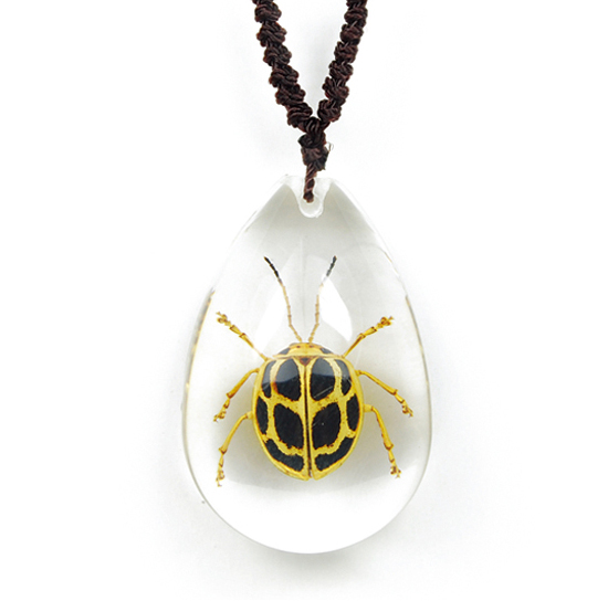 spotted leaf beetle necklace