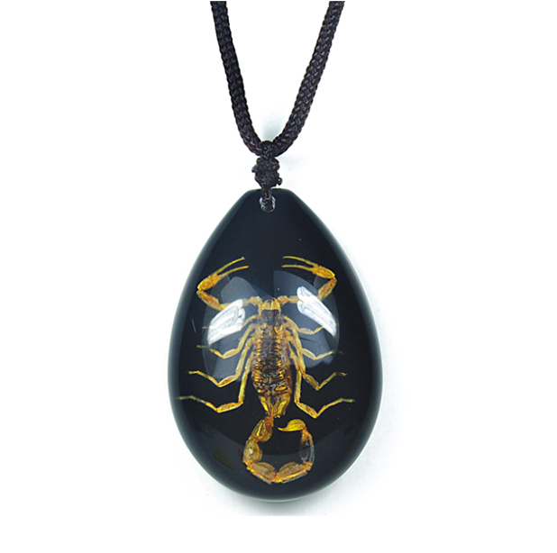 Bronze Scorpio Black Heart Real Scorpion Entomology Dead Insect Bug Specimen in Resin Cameo Scroll Statement Necklace