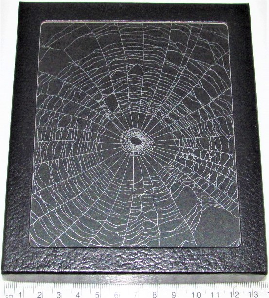 framed preserved orb weaver spider web USA
