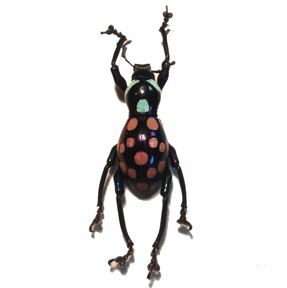 Pachyrrhynchus roseomaculatus pink green weevil beetle Philippines