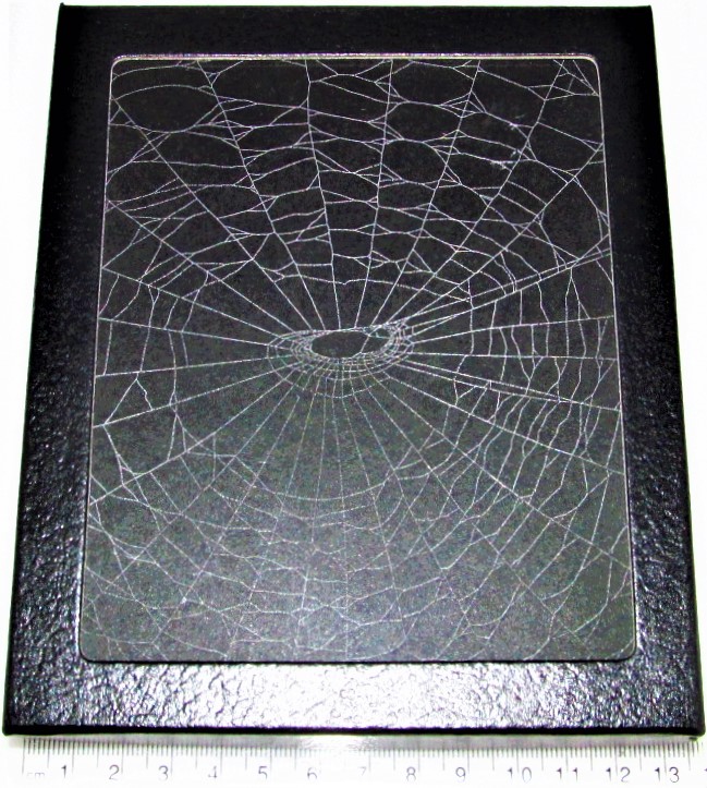 Orb weaver spider web framed preserved USA