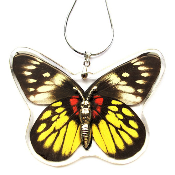 Delias red yellow butterfly wing necklace