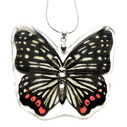 Hestina assimilis red pink butterfly wing necklace