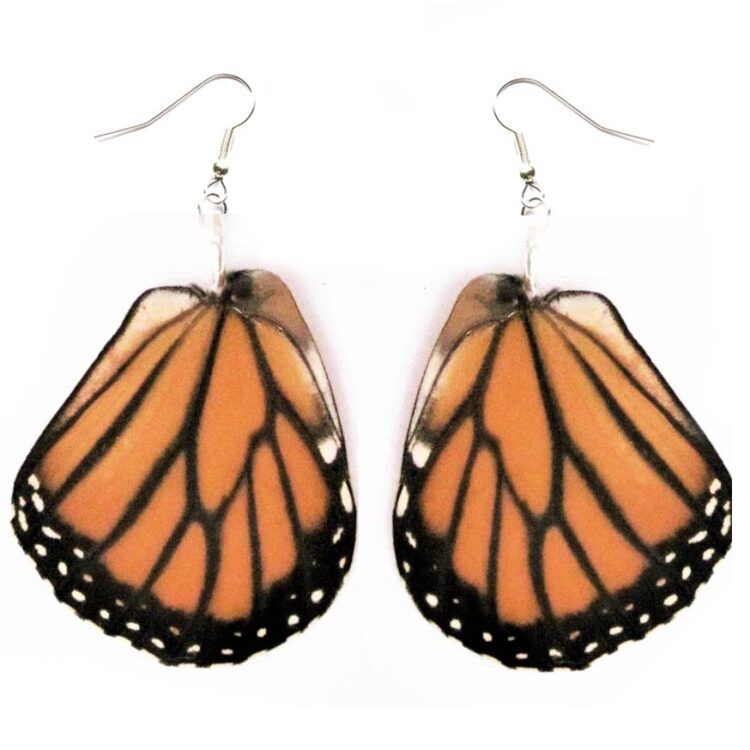 Danaus plexippus orange monarch butterfly wing earrings