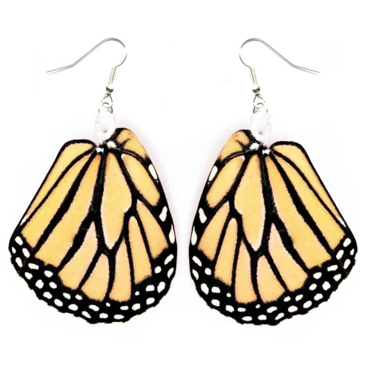 Danaus plexippus orange monarch butterfly wing earrings