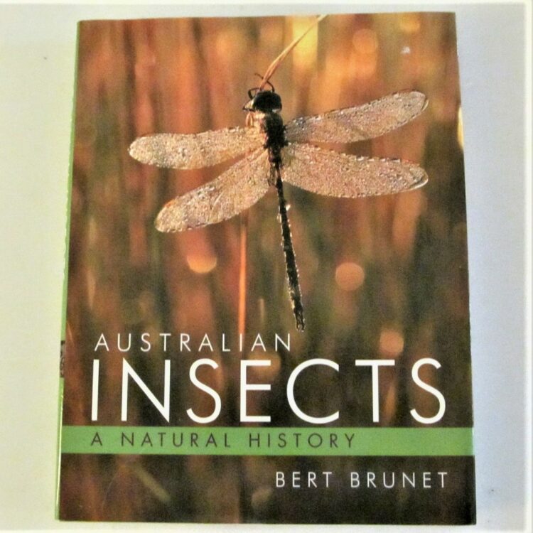 Australian Insects - A Natural History - Bert Brunet