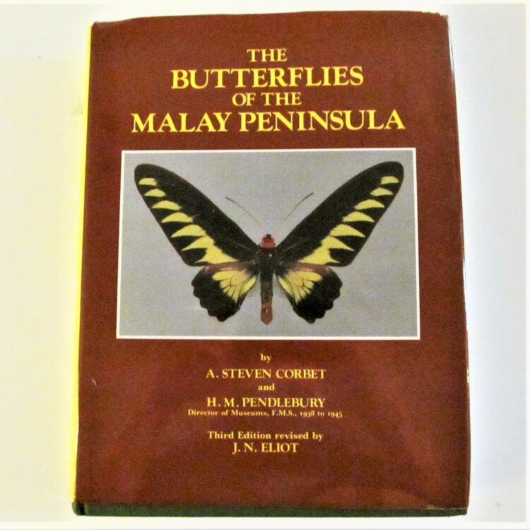 BicBugs The Butterflies of the Malay Peninsula A. Steven