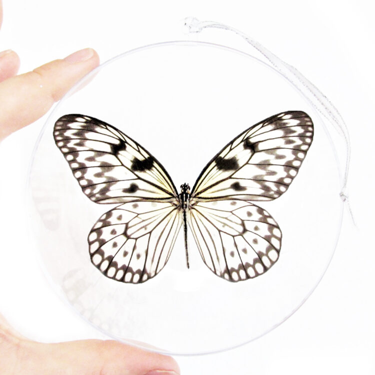 Idea idea black white rice paper butterfly Indonesia Christmas ornament