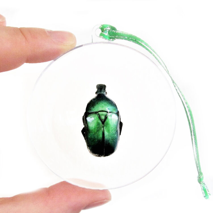 green flammea beetle ornament