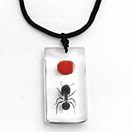 ant necklace