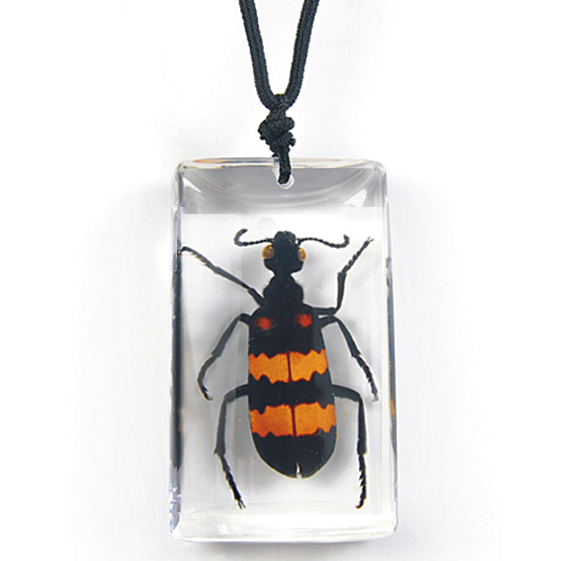blister beetle red orange necklace