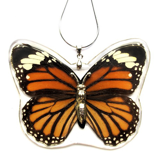 SOLD Preserved Butterly Wing Necklace