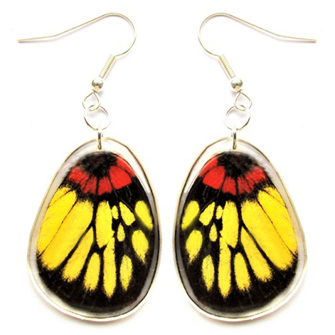 Delias red yellow butterfly wing earrings