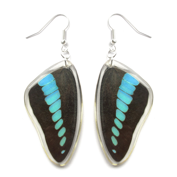 Graphium sarpedon blue butterfly wing earrings
