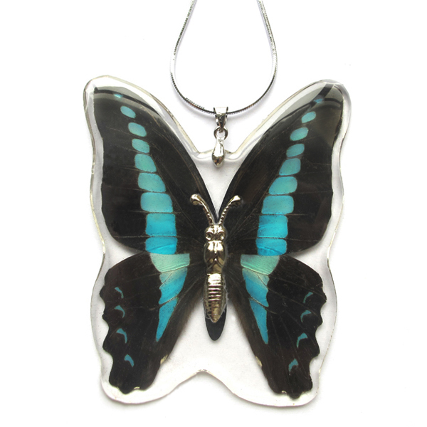Graphium sarpedon blue butterfly wing necklace