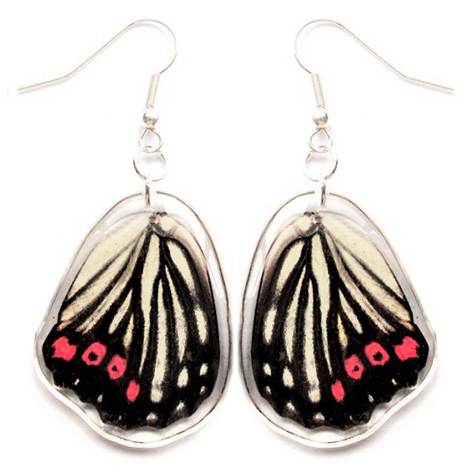 Hestina assimilis red pink butterfly wing earrings