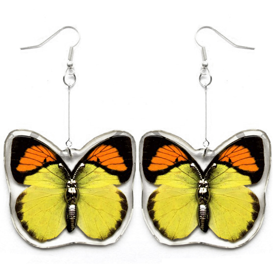 Ixias pyrene yellow orange butterfly wing earrings