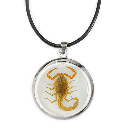 scorpion necklace gold round revolving spinning pendant