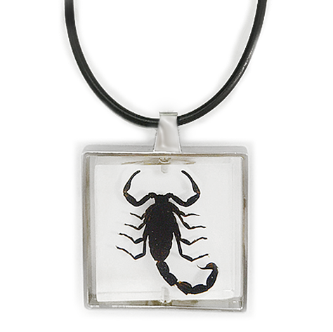 scorpion necklace black revolving spinning pendant