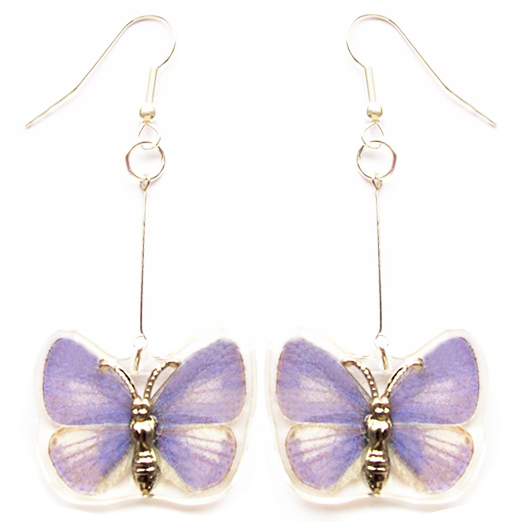 Udara dilecta purple butterfly wing earrings