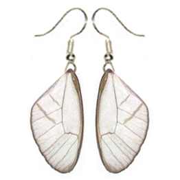 Cithaerias merolina pink clear butterfly forewing earrings