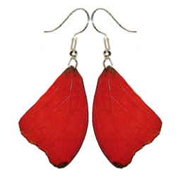 Cymothoe sangaris red orange forewing earrings