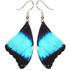 Morpho deidamia blue black forewing earrings