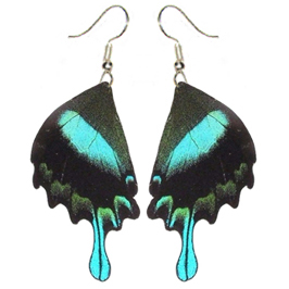 Papilio blumei blue black hindwing earrings (Copy)