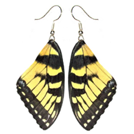 PPapilio glaucus yellow black forewing earrings