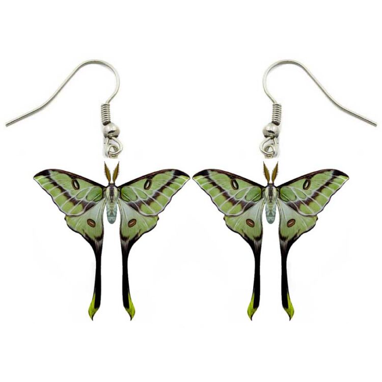 Argema besanti green equinox moth resting pose Tanzania RARE REPLICA earrings