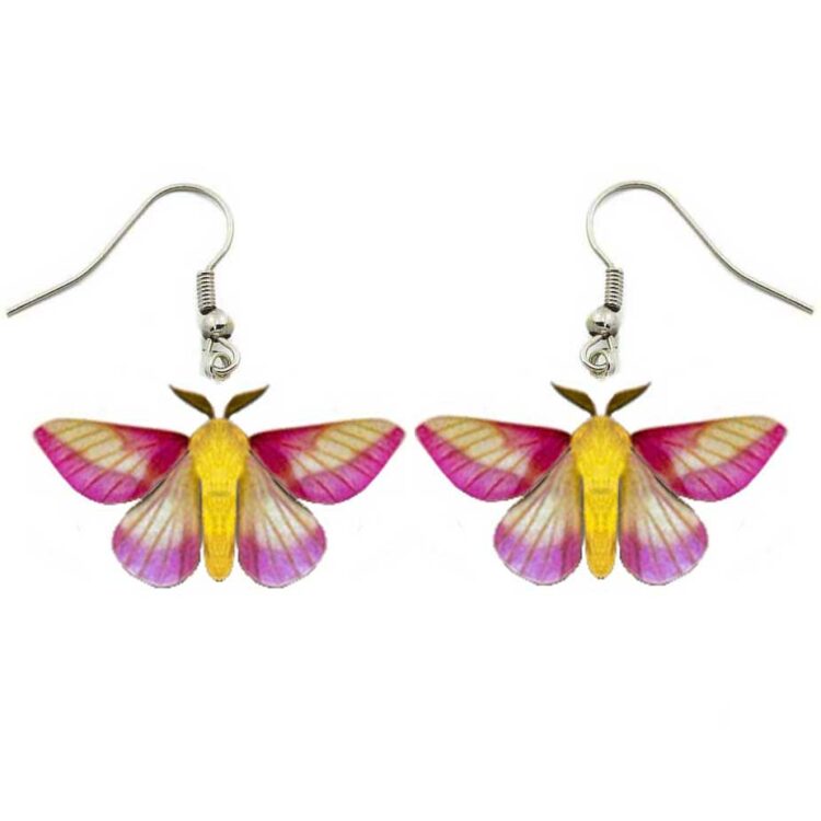 Dryocampa rubicunda pink rosy maple moth USA REPLICA earrings