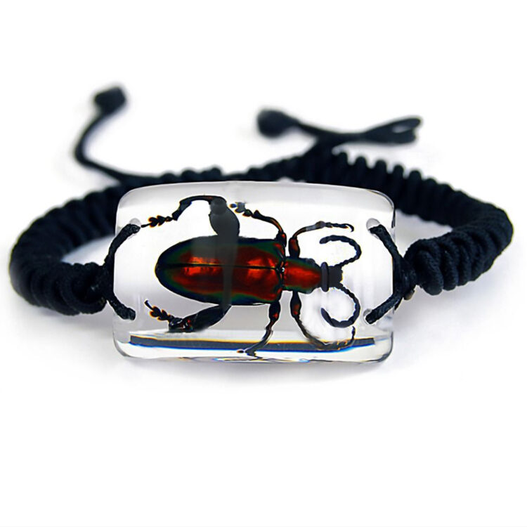 frog beetle bracelet