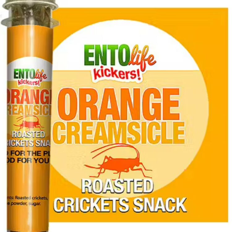 orange creamsicle crickets