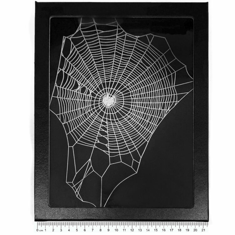 framed spider web REPLICA