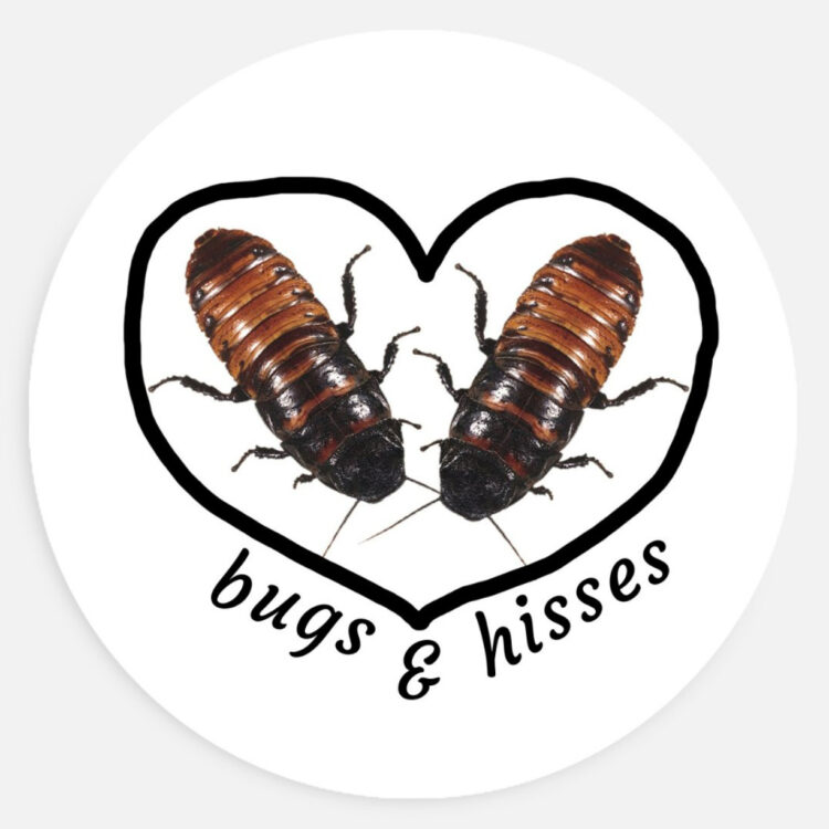 bugs and hisses