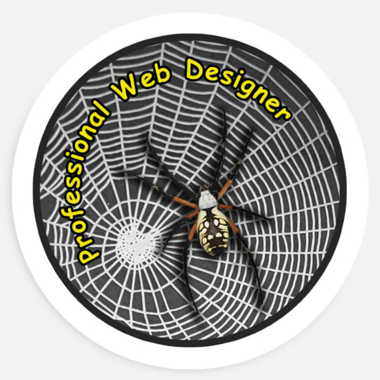 Professional Web Designer sticker