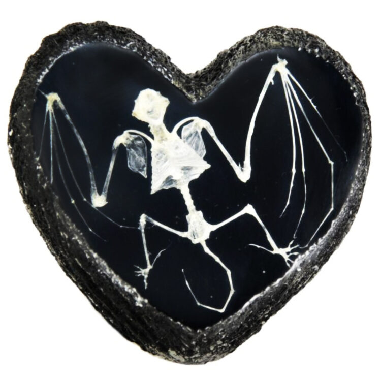bat skeleton black heart