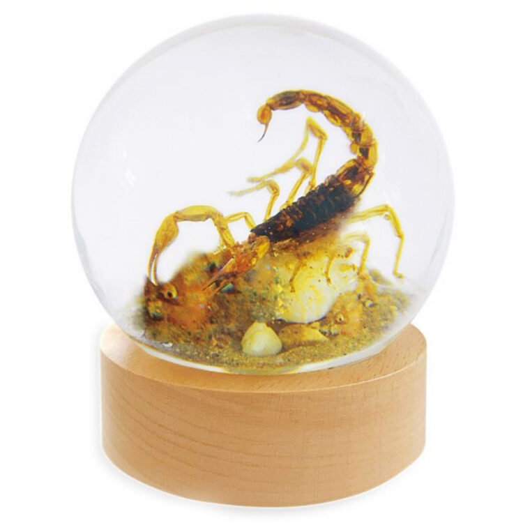 gold scorpion globe