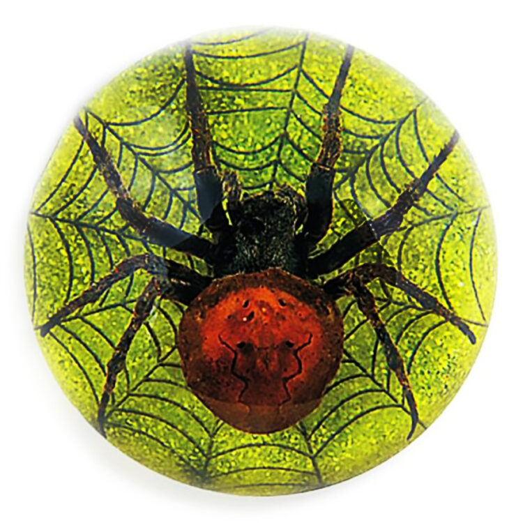 green spider web