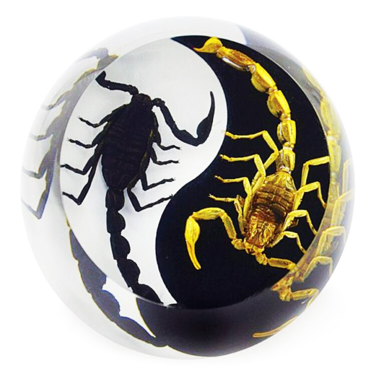 yin yang gold black scorpion