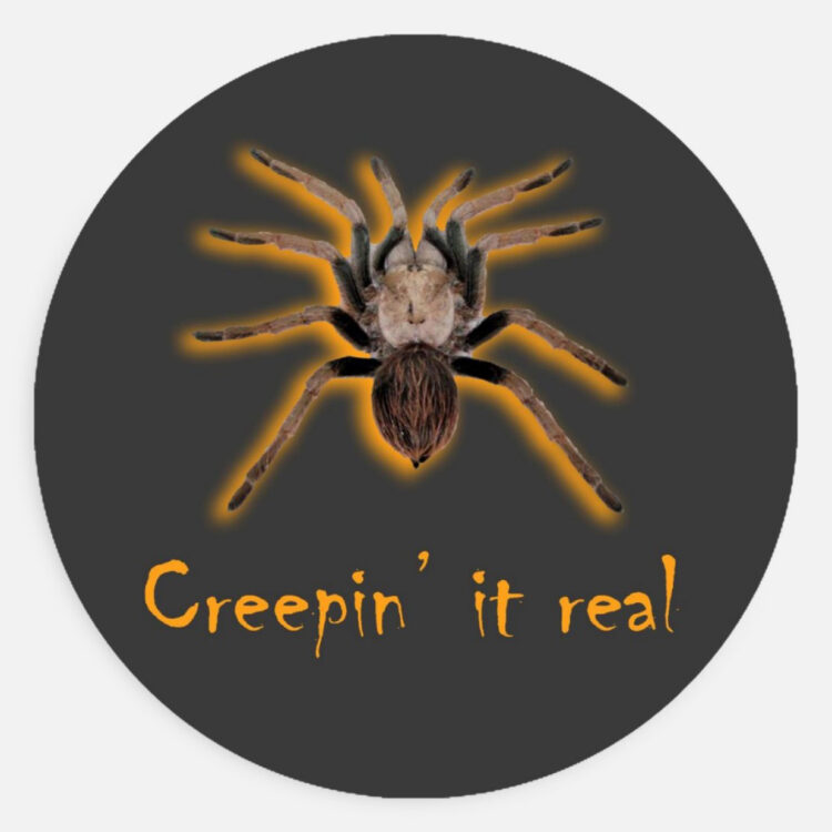 creepin tarantula
