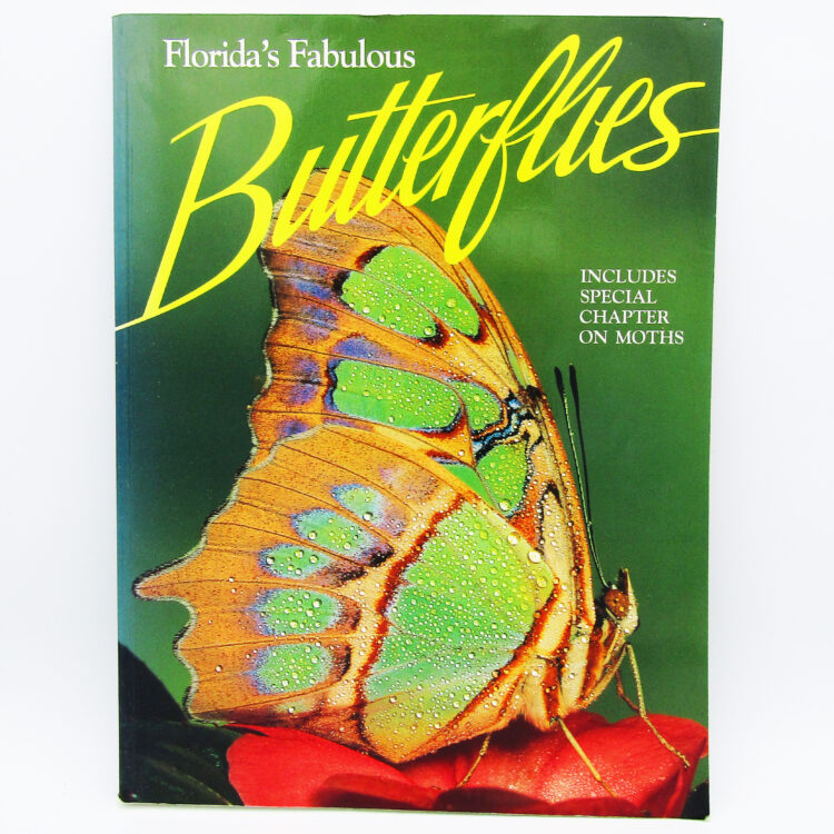 Florida's Fabulous Butterflies